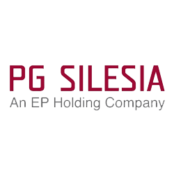 PG Silesia - logo